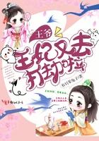 乡野小傻医封面